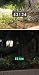 SOLAR ADDRESS LIGHT GREEN