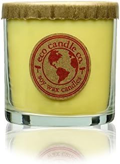 Eco Candle "CITRUS LOVER" 3 Pack of Scented Soy Candles in 5oz Recycled Glass Tumblers - Includes 3 Candles, one of each; Honey Mango, Vanilla Grapefruit, & Citrus Squeeze. 100% USA Made