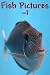 Fish Pictures - Volume 1