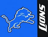 Heath Outdoor 27119 3-Feet by 5-Feet Detroit Lions Flag