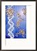 Dna Helix, Proteins, with Genetic Code in Background Collections Framed Photographic Poster Print by Jacob Halaska, 21x29