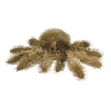 Aurora - Plush - Tarantula