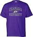 Niagara Purple Eagles Perennial T-Shirt