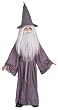 Kids Grey Gandalf Costume - Child Small