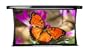 Elite Screens Cinetension 2 Tab Tensioned Premium Electric Projection Screen, 16:9 Aspect Ratio-84in (Cine Grey)
