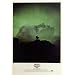 Rosemary's Baby 11 x 17 Movie Poster - Style A