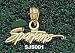 San Jose State Spartans 3/16 Charm/Pendant -14K/10K, Stainless Steel or Gold Plated