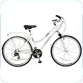 Comfort Bikes