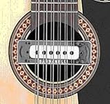 : Gabbanelli Bajo Sexto - Pick Up - w/Volume