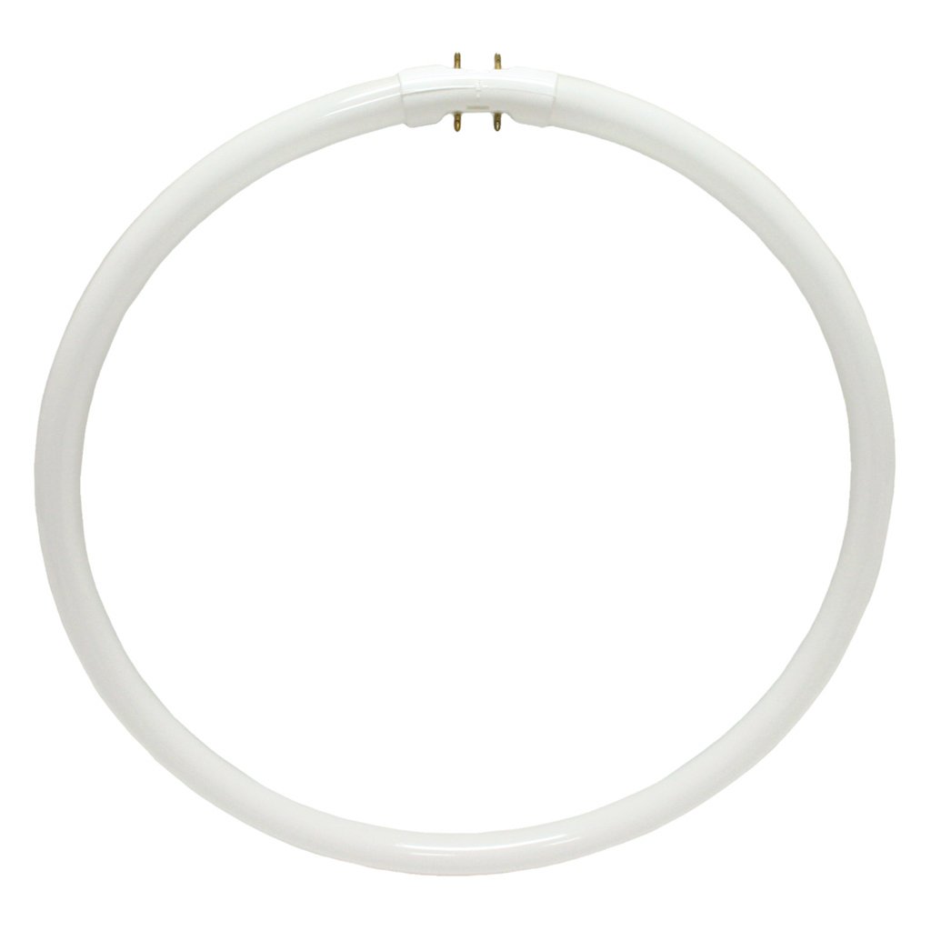 Bulbrite FC12T5 835 40Watt Circline Fluorescent T5 Bulb, 800 Series