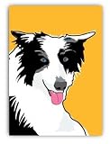 Paper Russells PAPR384B Greeting Card, 5x7 Inch - Border Collie - Blank