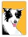 Paper Russells PAPR384B Greeting Card, 5x7 Inch - Border Collie - Blank