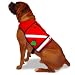 PooBoss K9 Utility Vest, Large (50-75-Pound), Quilted Lining, Red