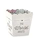 Big Dot of Happiness World Awaits - Party Mini Favor Boxes Travel Theme Graduation Treat Candy Set 12