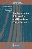Semiconductor Spintronics and Quantum Computation (NanoScience and Technology)