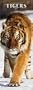 Tigers 2010 Slimline
