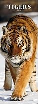 Tigers 2010 Slimline