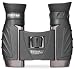 Steiner 231 8x22 Safari Pro Binocular