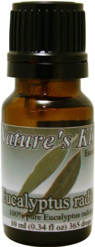 Image #1 of Eucalyptus Radiata Essential