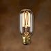 Bulbrite Incandescent T14 Medium Screw Base (E26) Light Bulb, 1 Count (Pack of 1), Antique