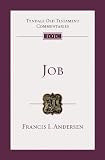 Job : an introduction and commentary