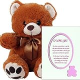 I Miss You Plush Teddy Bear and Love Poem in Pink Bear Picture Frame Matte