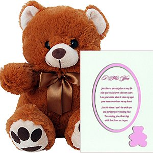 I Miss You Plush Teddy Bear and Love Poem in Pink Bear Picture Frame Matte