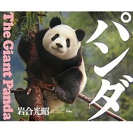 パンダ