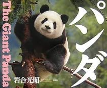 パンダ