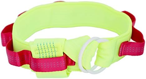 Indoor Bound, Wonder Belt (Bondage Barbie), Nylon Doggie Style Sex Restraint (1 Belt) ...