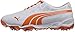 PUMA Men's Biofusion Golf Shoe