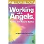 Working with Angels, Fairies and Nature Spirits by William Bloom