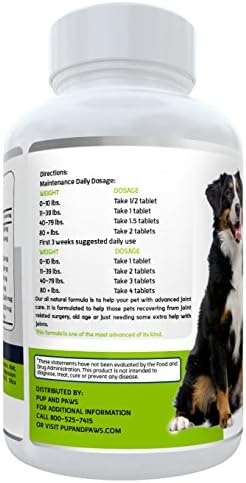 Advanced Glucosamine Hip and Joint Supplement Formula with Chondroitin Sulfate, MSM, Vitamin C & E, Black Cherry, Hyaluronic Acid & Flaxseed:: For Dogs:: 60 Chewable Tablets:: All Natural Ingredients by Pup and Paws