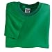 Gildan 6.1 oz Cotton Youth Short-Sleeve T-shirt (2000B) Tee