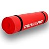 Denqbar Yogamatte / Gymnastikmatte 190 x 60 x 1,5 cm rot f�r Yoga, Pilates und Aerobic, T�V gepr�ft