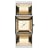 Storm Coco Gold Ladies Watch