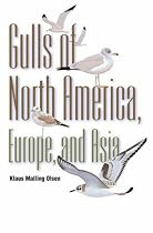 Gulls of North America, Europe, and Asia (Field Guides)