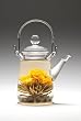Tea Beyond Glass Teapot Duo 16 oz No Dripping heat resistant Multifunctional perfectly for ONE