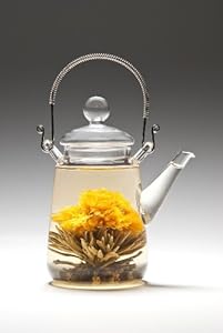 Tea Beyond Heat Resistant Glass Teapot Duo 16-ounce