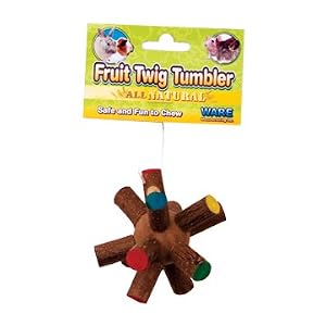 Ware-Wood-Fruit-Twig-Small-Pet-Tumbler