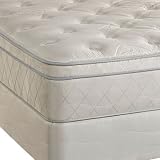 Queen Sealy Dandelion Plush Eurotop Mattress