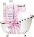 Lauren Nichole Spatacular Spa Tub Gift Basket