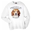 Beagle "Property Of" Adult Sweatshirt