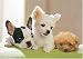 ������ƃp�Y���̒B�l 216�s�[�X ��񂱃t�����Y 04-507