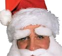 Santa Eyebrows Made of Mohair