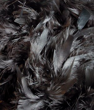 Black Deluxe Feather Boa