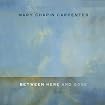 Between Here and Gone