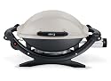 Weber 386002 Q-100 Portable Gas Grill