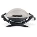 Weber 386002