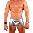 Mens Liquid Metallic Hot Body Boxer Swimsuit Gary Majdell Sport